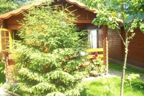 Эфорие Норд